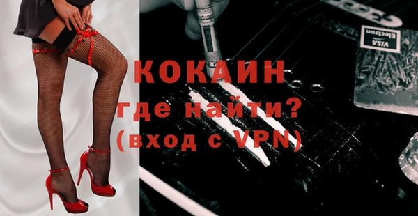 ешки Горняк