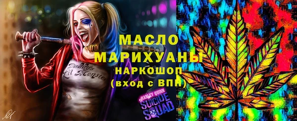 ешки Горняк