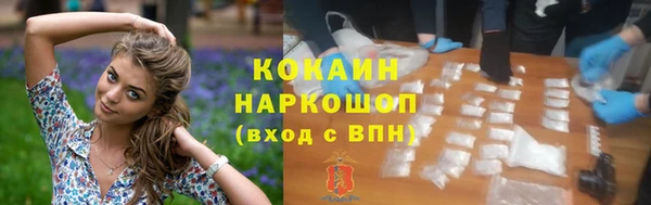 ешки Горняк