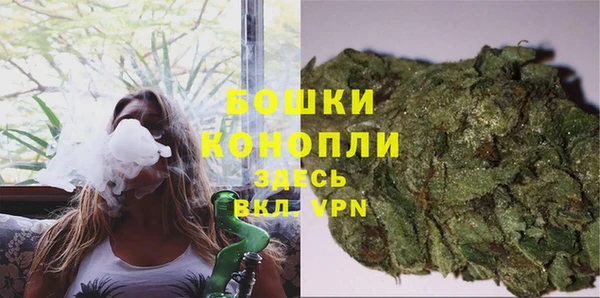 ешки Горняк
