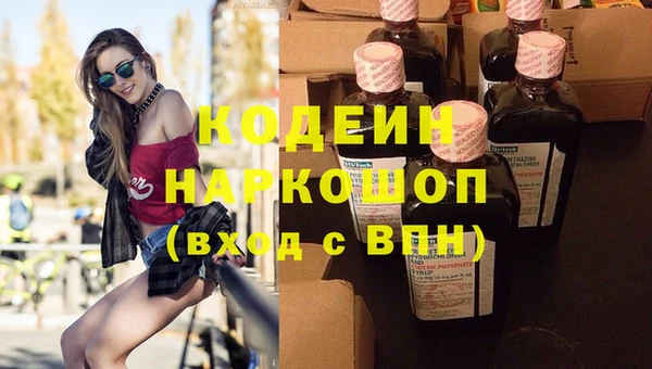 гашик Алагир