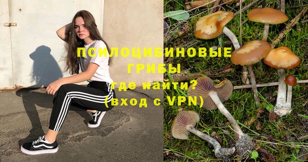 ешки Горняк