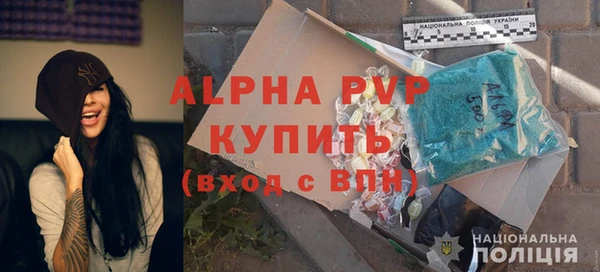 ешки Горняк