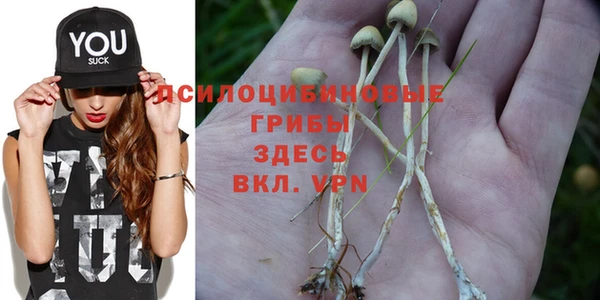 ешки Горняк
