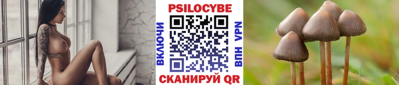 Псилоцибиновые грибы мицелий  Добрянка 